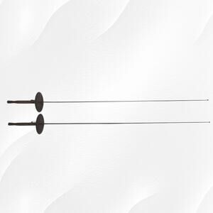 2 Vintage 19th Century Fencing Foil Swords Made in Toledo Spain